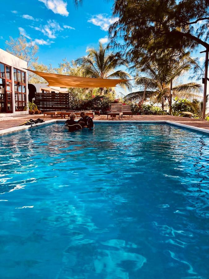 Liquid Dive Adventures Bed & Breakfast Tofo Ngoại thất bức ảnh