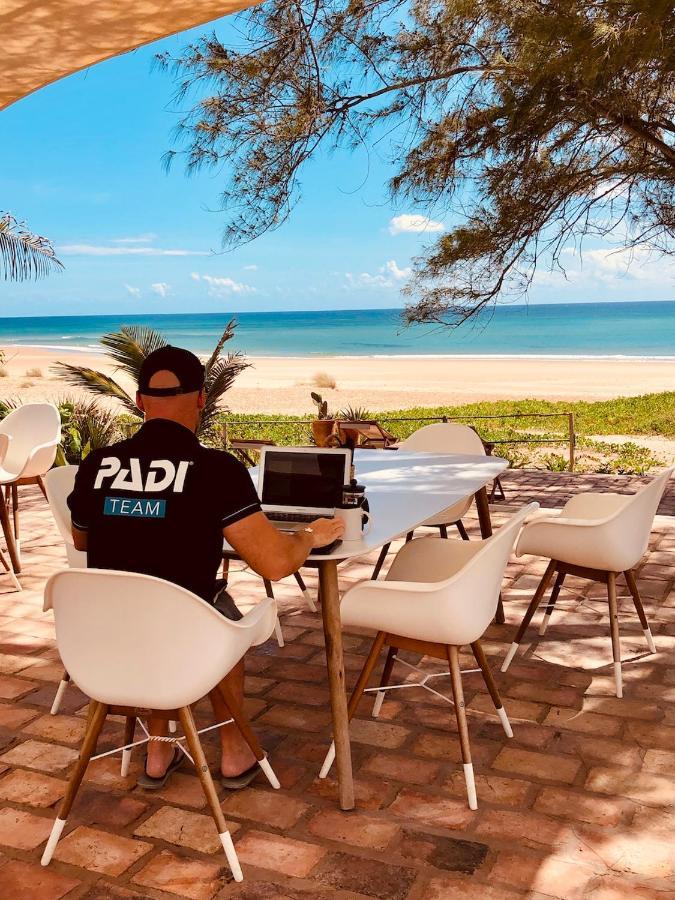Liquid Dive Adventures Bed & Breakfast Tofo Ngoại thất bức ảnh