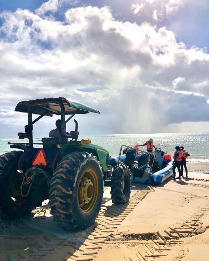Liquid Dive Adventures Bed & Breakfast Tofo Ngoại thất bức ảnh