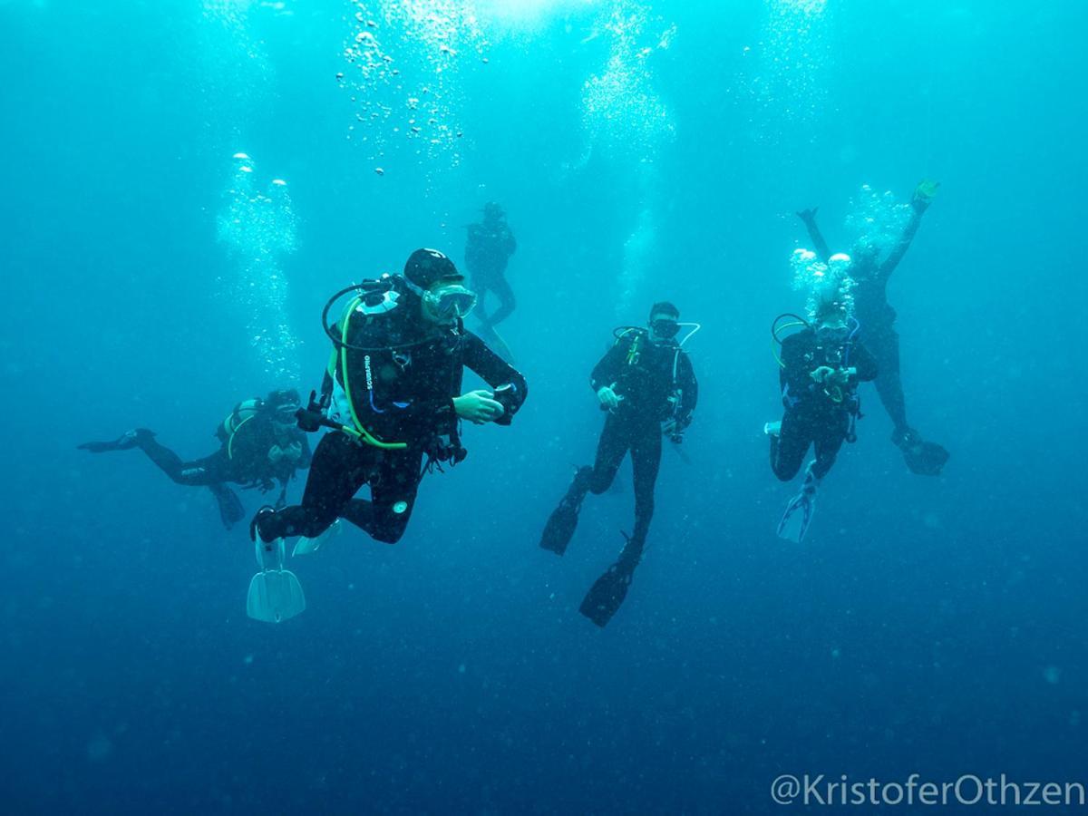 Liquid Dive Adventures Bed & Breakfast Tofo Ngoại thất bức ảnh