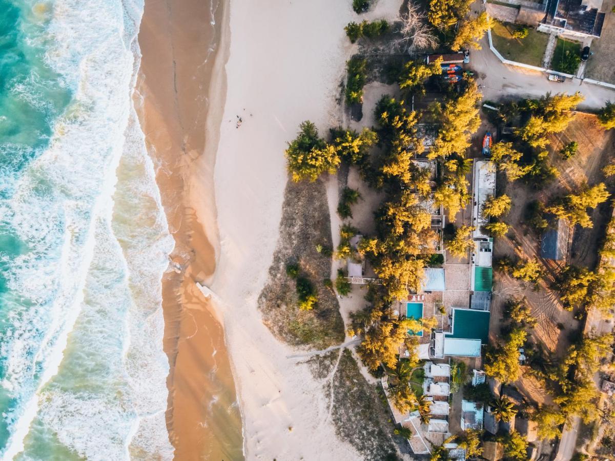 Liquid Dive Adventures Bed & Breakfast Tofo Ngoại thất bức ảnh