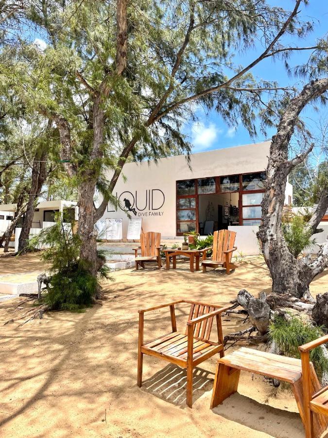 Liquid Dive Adventures Bed & Breakfast Tofo Ngoại thất bức ảnh