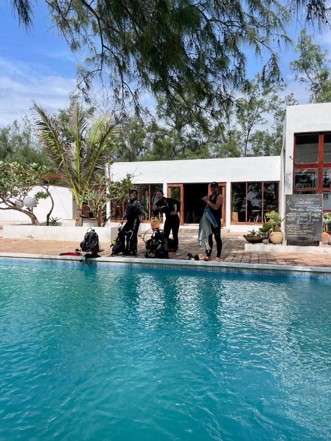 Liquid Dive Adventures Bed & Breakfast Tofo Ngoại thất bức ảnh