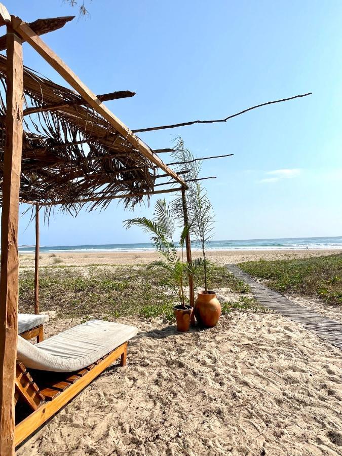 Liquid Dive Adventures Bed & Breakfast Tofo Ngoại thất bức ảnh