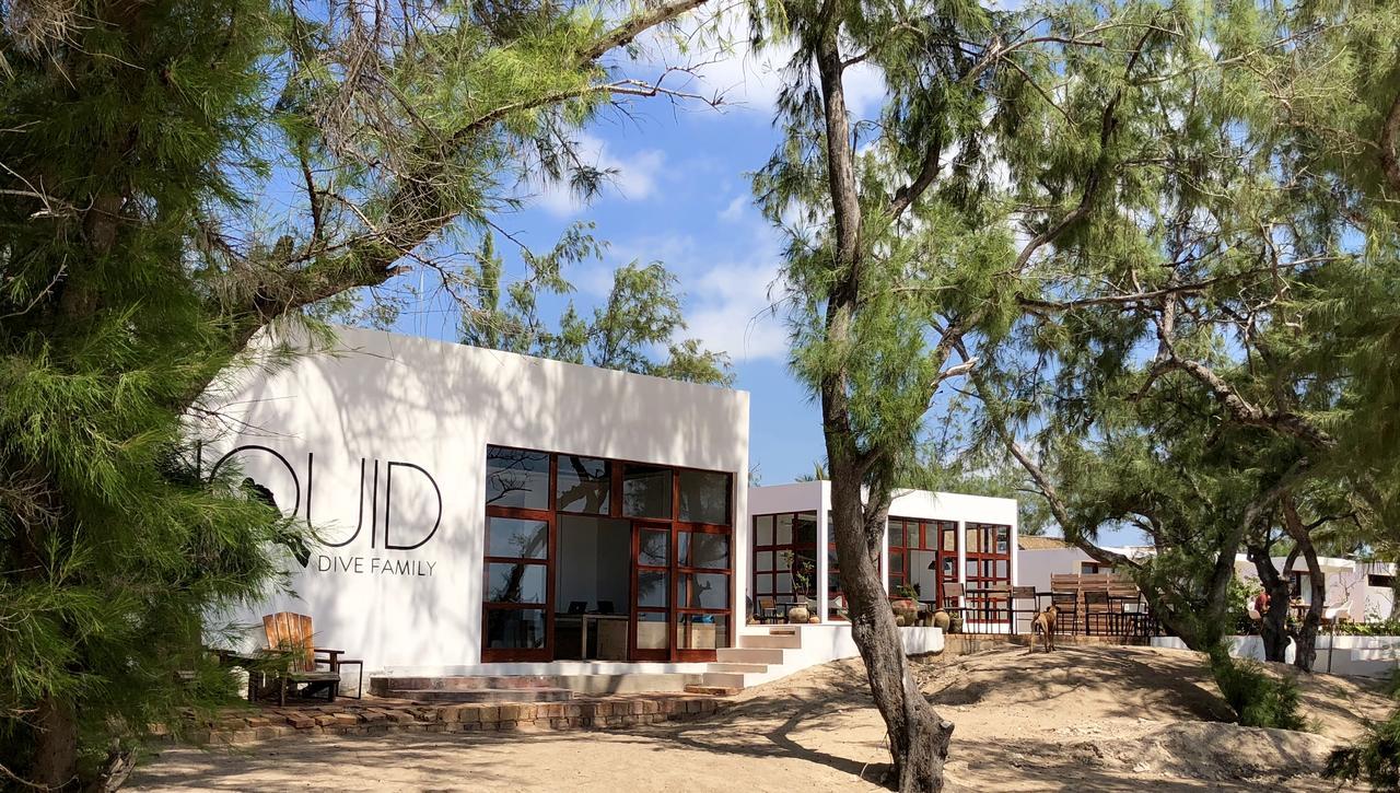 Liquid Dive Adventures Bed & Breakfast Tofo Ngoại thất bức ảnh
