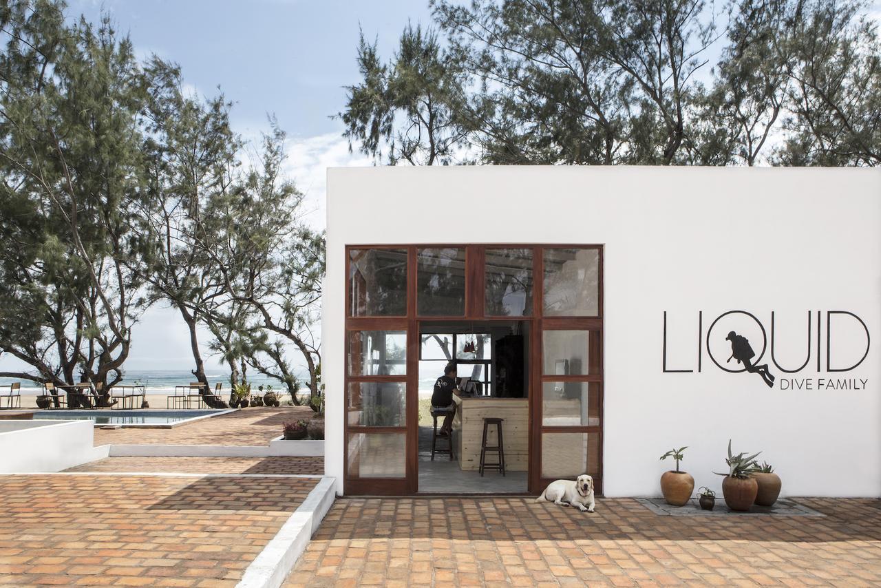 Liquid Dive Adventures Bed & Breakfast Tofo Ngoại thất bức ảnh